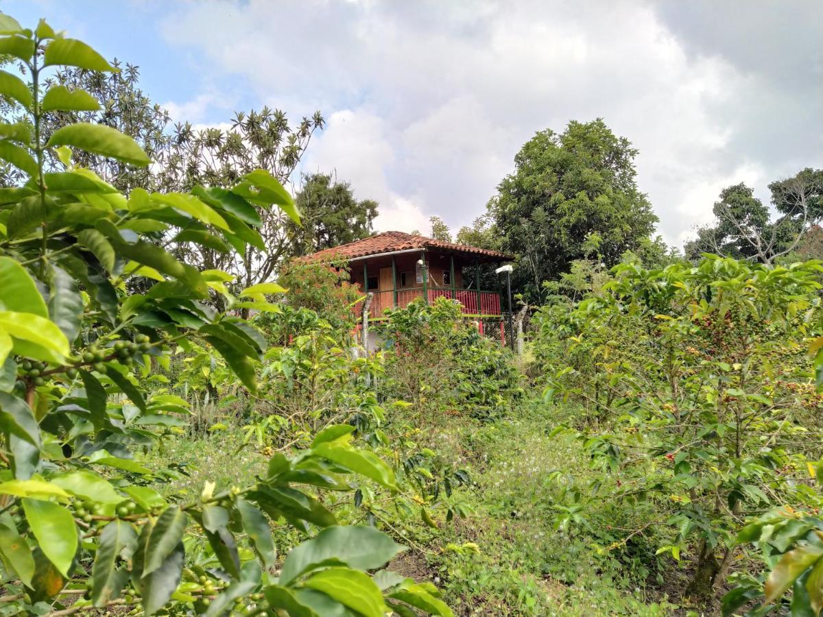 La Acuarela, Posada De La Monita Pereira Exterior photo