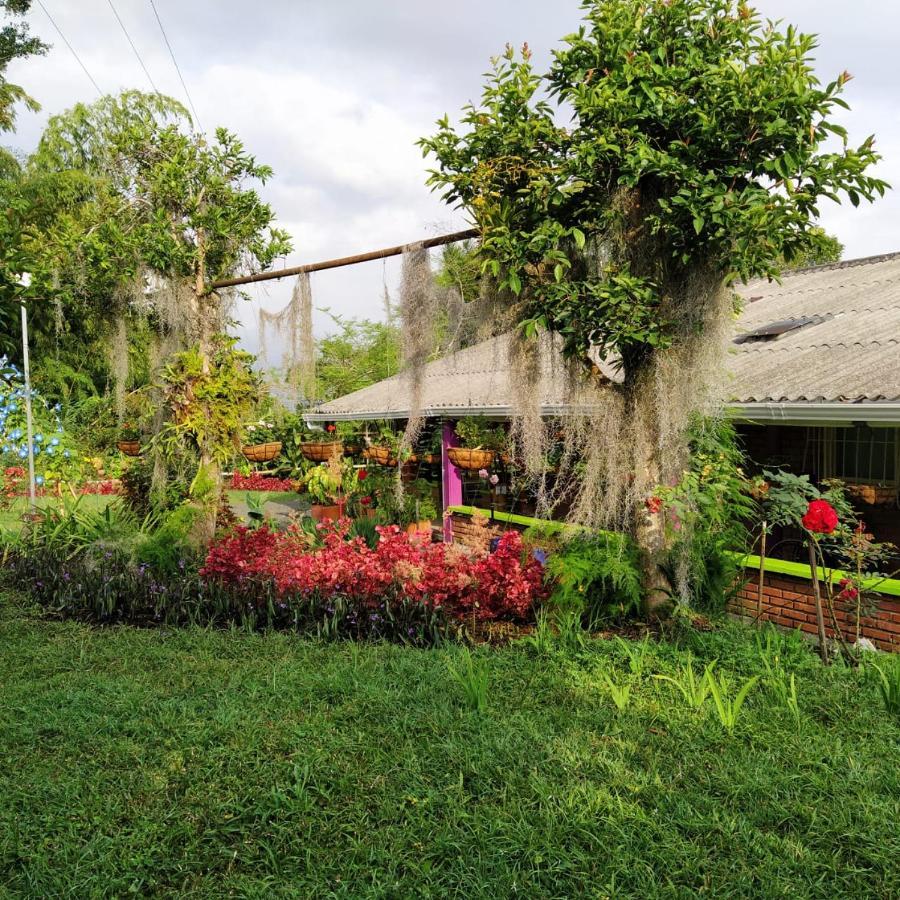 La Acuarela, Posada De La Monita Pereira Exterior photo